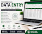 do accurate data entry excel copy paste and web research