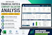 perform detailed financial ratio and company valuation analysis
