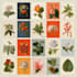 illustrate best botanical illustration