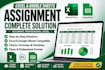 do professional excel assignments and charts