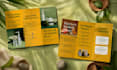 design an eye catching brochure
