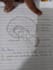 draw hand drawn science diagrams