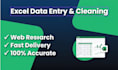 do excel data entry, data cleaning, and web research