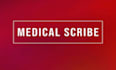 be your medical scribe and convert consultations into soap notes