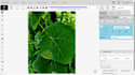 annotate your images using cvat