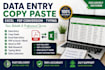 do accurate data entery copy paste excal and pdf conversion
