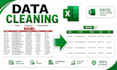 clean, format, organize and remove duplicates from excel data