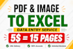 accurate data entry,PDF to excel,image to excel