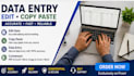 do accurate data entry, excel data entry and web research