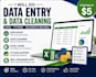do data entry, data cleaning, excel, python, and data analysis