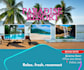 desing professional canva social media posts and graphics
