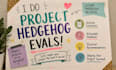 do hedgehog evals, handshake ai project