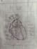 draw neat hand drawn heart diagrams