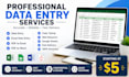 do accurate data entry, excel,typing