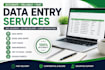 do accurate data entry, copy paste, and excel data entry