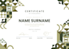 design a creative and eyecatching certificate design