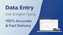 do ms word , excel , urdu english typing and data entry fast