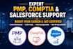 assist you pmp, comptia, and salesforce certification