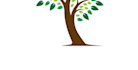 design catchy amazing tree service logo