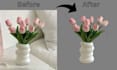 remove photo background professionally