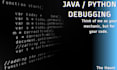 debug and fix your python or java code