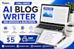 write SEO optimized blog posts and ai assisted articles