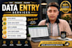 do excel data entry , data cleaning ,pdf to excel , tally