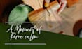 design aesthetic promotional banners for food and beverage