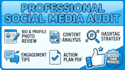 do a comprehensive social media audit and profile review