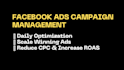 setup and manage facebook ads campaign for sales