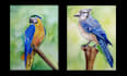 do birds sketch with unique realistic sketching style
