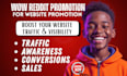 execute viral reddit SEO post campaign for website promotion