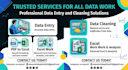 do microsoft excel data entry,cleaning and PDF to excel