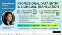 do excel data entry and english to burmese translation