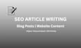 write professional SEO friendly blog posts and articles