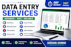 accurate data entry, excel data cleaning, copy paste and PDF conversion