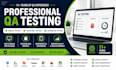 professional manual QA, API and automation testing