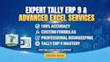 provide expert advanced excel and tally services