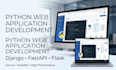 develop a custom python web application for your business