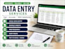do data entry, excel, google sheet, copy paste, webresearch