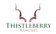 create a professional, memorable and distinctive logo