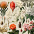 draw fineline botanical delicate flowers