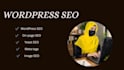 do professional SEO on page optimitation