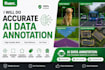 professional ai data annotation and data labeling