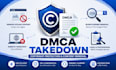 professional dmca takedown and copyright protection services