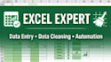 do ms excel google sheet data entry cleaning expert