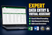 do professional data entry copy paste work contact writing