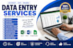 do accurate data entry, excel, copy paste and web research