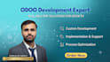 odoo erp development, build odoo website