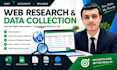 do web research and collect data in excel
